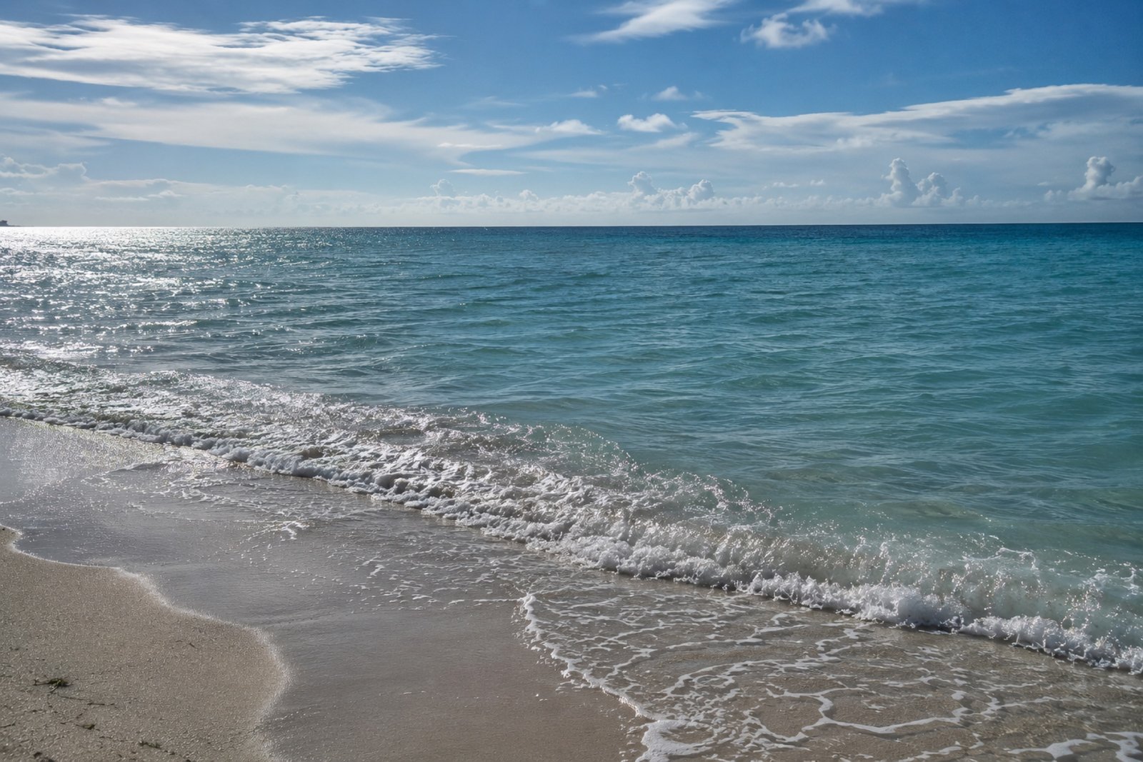Ocean waves at the shoreline